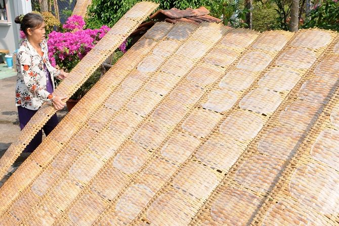 Khám phá hương vị truyền thống bánh tráng Trảng Bàng: Đặc sản trứ danh của Tây Ninh