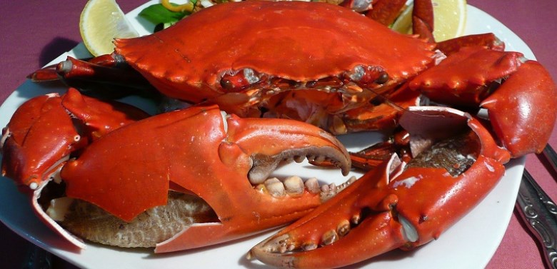 Hấp cua bao lâu để cua ngon ngọt, không rụng càng?