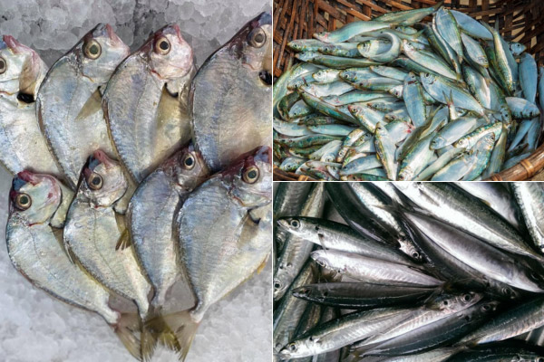 Cách làm mắm nêm xay nhuyễn